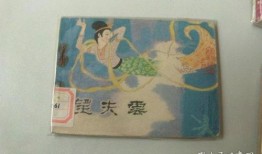 电影望夫云在线观看,穿越时空的等待与爱情